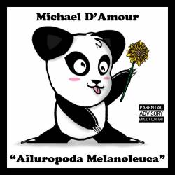 Ailuropoda Melanoleuca